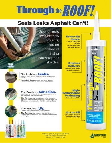 Sashco Through the Roof 1-quart Clear Paintable Solvent Caulk in